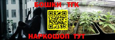 Альфа ПВП Аргун