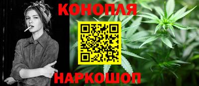 Альфа ПВП Аргун