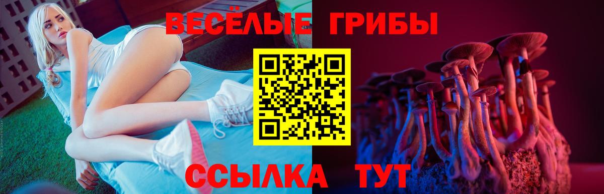 Галлюциногенные грибы Psilocybine cubensis  Вход с VPN  Воткинск 